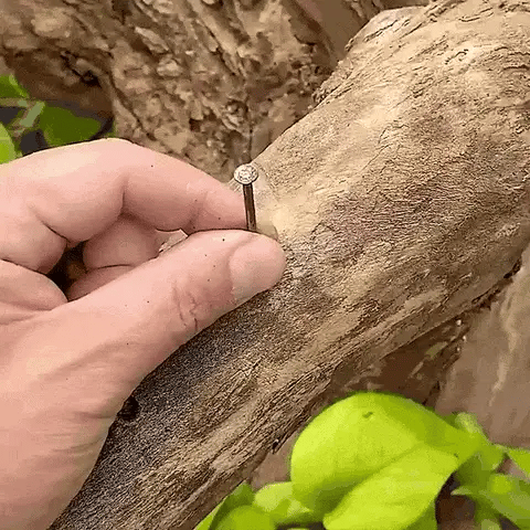 COMBO MARTILLO🔨👨‍🏭PARA TU TRABAJO PESADO O TU CASA💯 GRATIS LINTERNA🔦